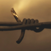 SRC barbed wire image barbed wire representing Science and Religious Conflict project